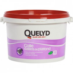 Colle pour dalle et plafond - 4 Kg - QUELYD - Colle - BR-569518