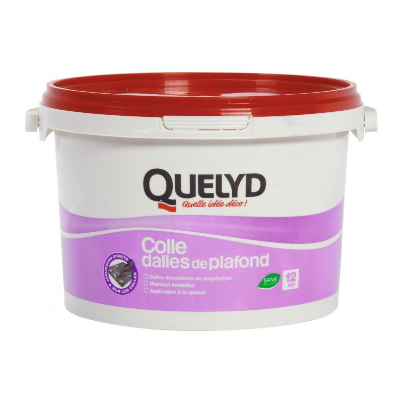 Colle pour dalle et plafond - 4 Kg - QUELYD - Colle - BR-569518