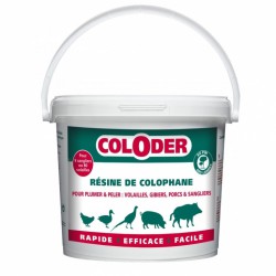 Coloder - Résine de Colophane - 3.5 Kg - SANITERPEN - Hygiène et entretien animaux - BR-010006