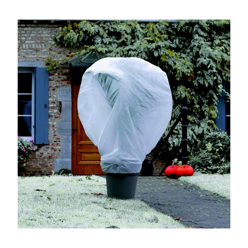 Voile d'hivernage - WINTERTEX - 30 Grs / mÂ² - 2 x 5 M - NORTENE - Protection des plantes - DE-223115