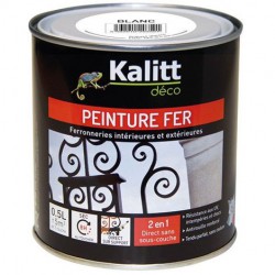 Peinture spécial Fer - Blanc - Brillant - 0.5 L - KALITT - Peintures - DE-368051