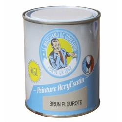 Peinture acrylique - Murs et plafonds - Satin - Brun pleurote - 0.5 L - ONIP - Peintures - MC70114