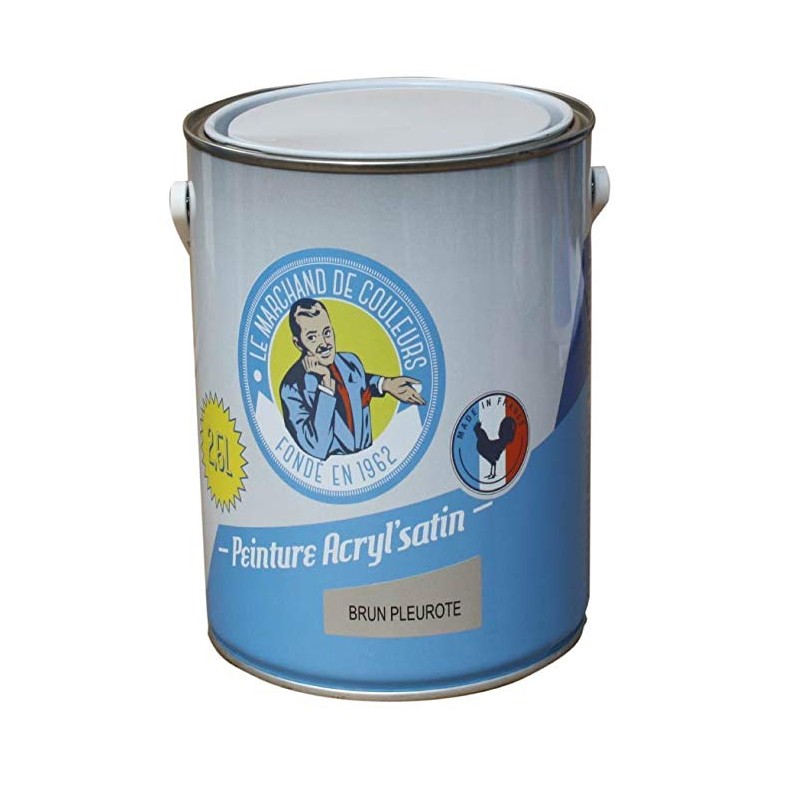 Peinture acrylique - Murs et plafonds - Satin - Brun pleurote - 2.5 L - ONIP - Peintures - MC70122