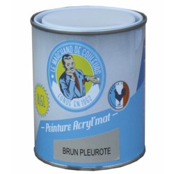 Peinture acrylique - Murs et plafonds - Mat - Brun pleurote - 0.5 L - ONIP - Peintures - MC70129