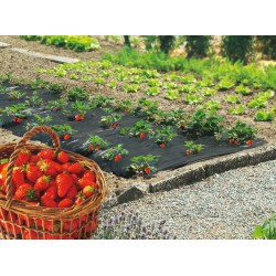 Film de paillage pour fraises - FRESAFILM - 10 x 1.40 M - NORTENE - Protection des plantes - DE-255570