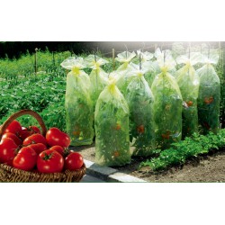 Housses de croissance pour tomates - TOMATOTUBE - 0.6 x 10 M - NORTENE - Protection des plantes - DE-349977