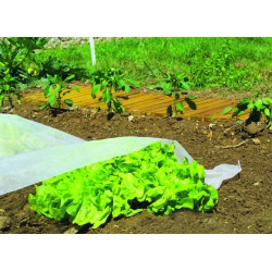 Voile de croissance - CLIMATEX - 10 x 2 M - NORTENE - Protection des plantes - DE-525105