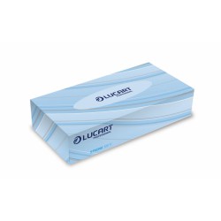 Mouchoirs 2 plis 100 feuilles Pro ecoluart - Accueil - A10030