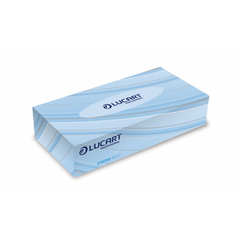 Mouchoirs 2 plis 100 feuilles Pro ecoluart - Accueil - A10030