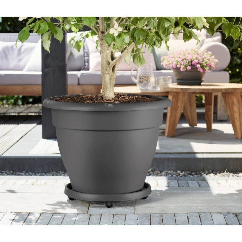 Support de pot à  roulettes - planttaxi universel - 30 cm - Gris - ELHO - Support pot et jardinière - DE-402669