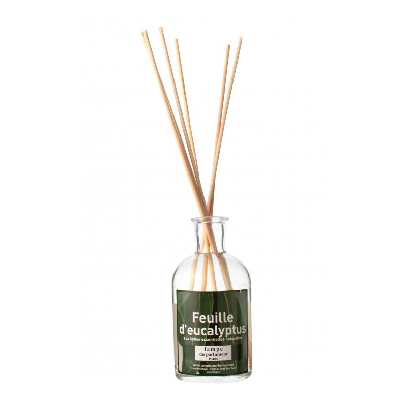 Bambous parfumés - Feuille d'Eucalypstus - 100 ml - LAMPE DU PARFUMEUR - Parfum d'intérieur - DE-409011