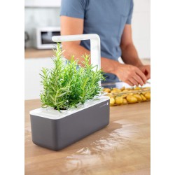 Potager d'intérieur - Click & Grow - Smart Garden 3 - Gris - EMSA - Jardinières et suspensions - DE-330902