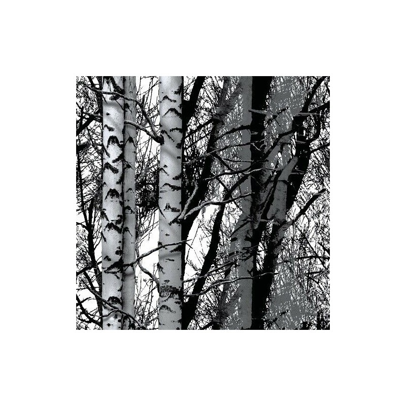 Adhésif - Forêt en Noir et Blanc - 67.5 cm x 2 m - D C FIX - Adhésifs décoratifs - DE-377796