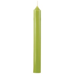 Bougie droite x 12 - Basilic - 200 x 22 mm - BOUGIES LA FRANÇAISE - Bougies de table / Accessoires - DE-465022