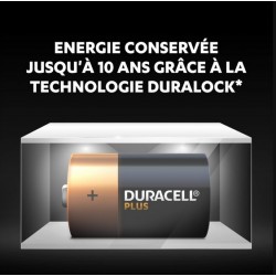 Piles Plus alcaline - LR20 - D - Lot de 2 - DURACELL - Pile classique - SI-534845