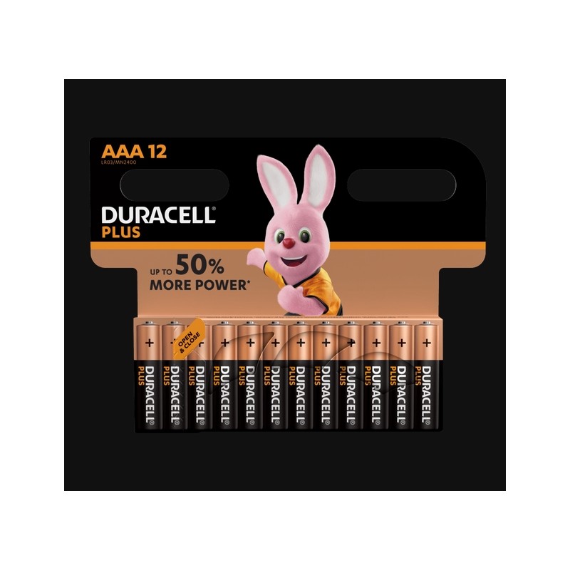 Piles Plus alcalines - LR03 - AAA - Lot de 12 - DURACELL - Pile classique - SI-534839