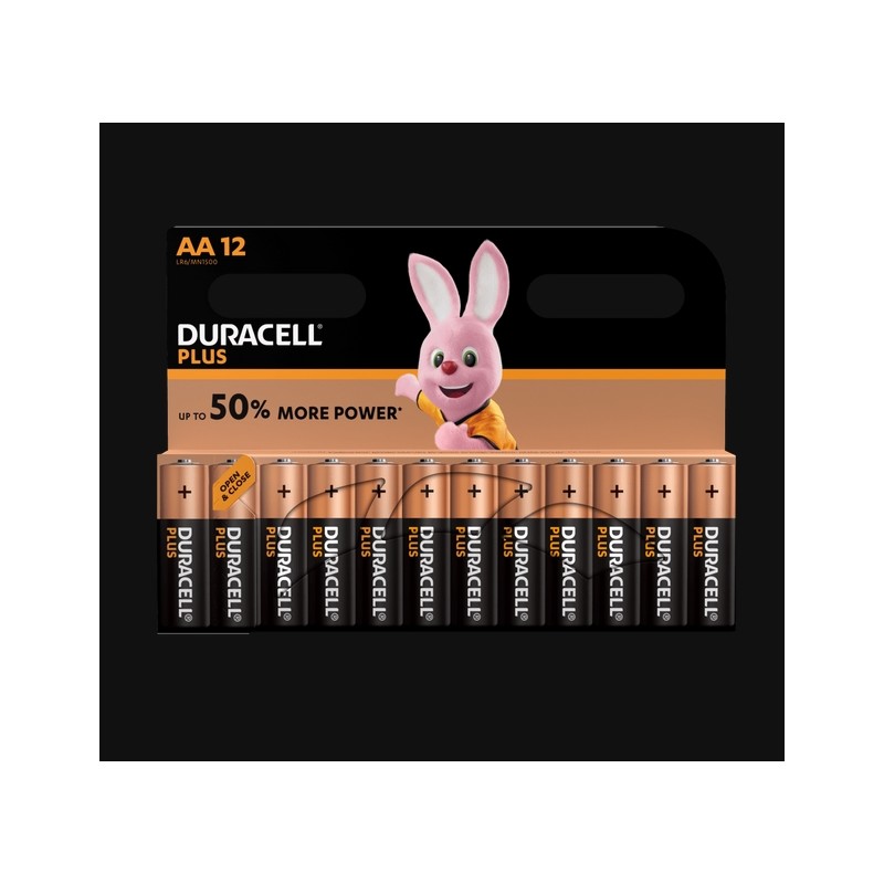 Piles Plus alcalines - LR06 - AA - Lot de 12 - DURACELL - Pile classique - SI-534838