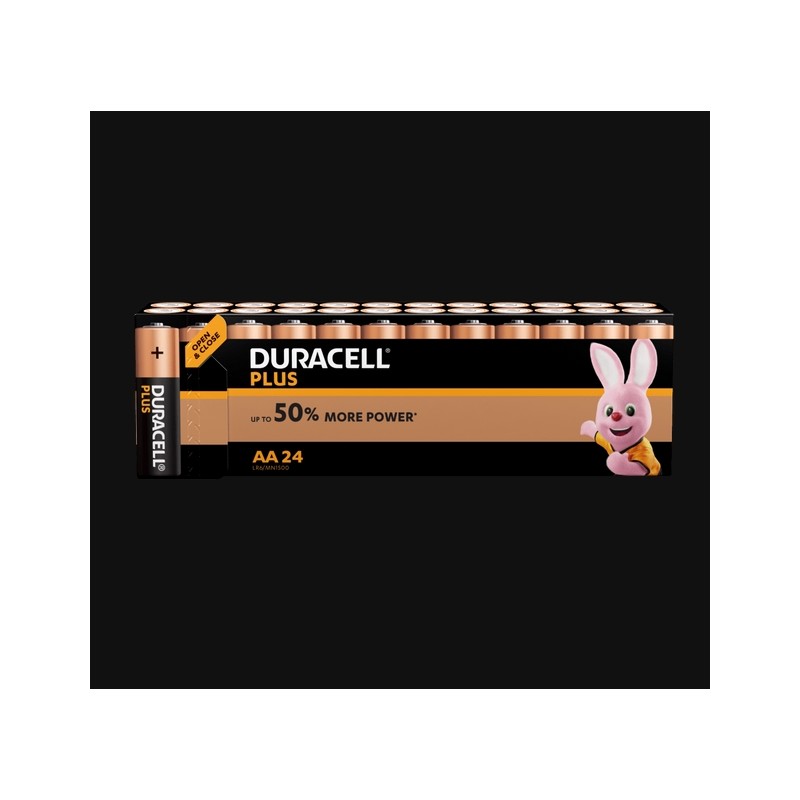 Piles Plus alcalines - LR06 - AA - Lot de 24 - DURACELL - Pile classique - SI-534842