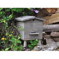 Mini ruche - Bois - Style rustique - JEAN LOUIS LEVIGNE - Apiculture - BR-406108