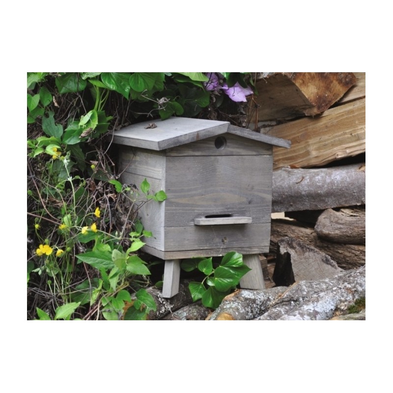 Mini ruche - Bois - Style rustique - JEAN LOUIS LEVIGNE - Apiculture - BR-406108