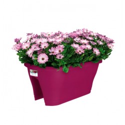 Bac pour balustrade / balcon - Corsica Flower Bridge - Cerise - 60 cm - ELHO - Jardinières et suspensions - DE-406025