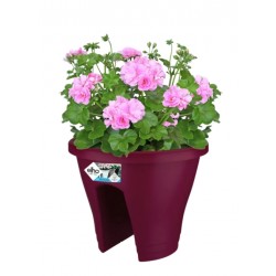 Bac pour balustrade / balcon - Corsica Flower Bridge - Cerise - 30 cm - ELHO - Jardinières et suspensions - DE-405960