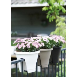 Bac pour balustrade / balcon - Corsica Flower Bridge - Cerise - 30 cm - ELHO - Jardinières et suspensions - DE-405960