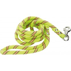 Laisse pour chien - 2 m - Nylon - Anis - ZOLUX - Chiens - BR-123162