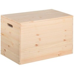 Coffre de rangement - Pin - 80 x 40 x 50 cm - ASTIGARRAGA - Rangement de la maison / meuble d'appoint - DE-789966