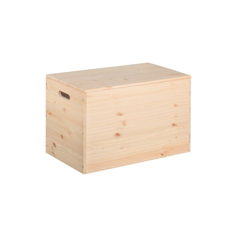 Coffre de rangement - Pin - 80 x 40 x 50 cm - ASTIGARRAGA - Rangement de la maison / meuble d'appoint - DE-789966