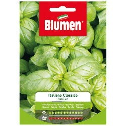 Graines de Basilic - Italien Classique - BLUMEN - Semences - DE-516709