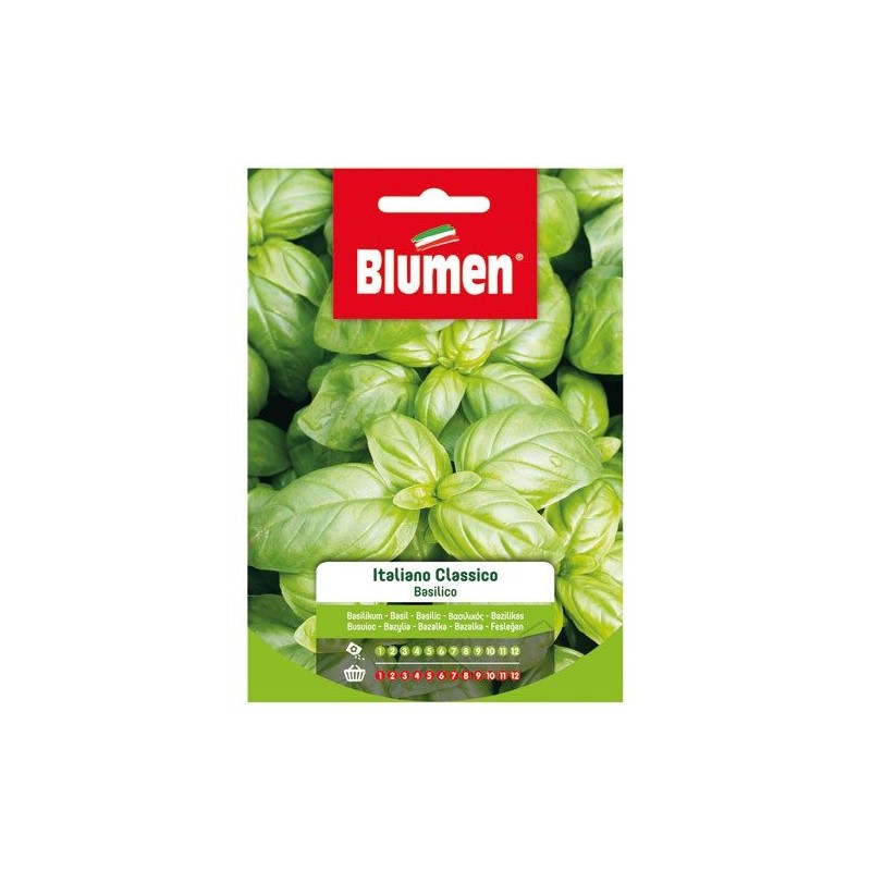 Graines de Basilic - Italien Classique - BLUMEN - Semences - DE-516709