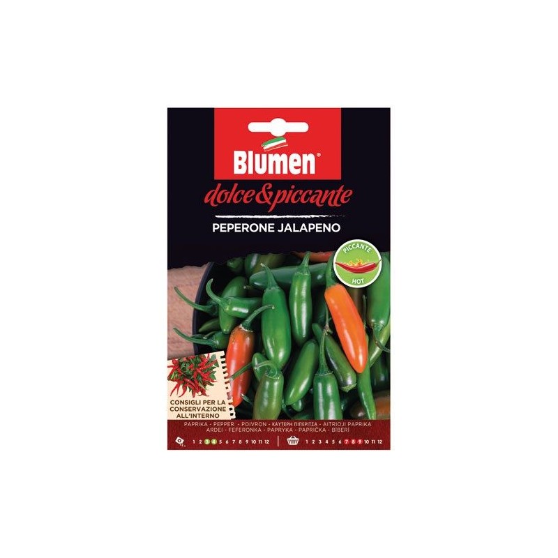 Graines de Piment - Jalapeno - BLUMEN - Semences - DE-516717