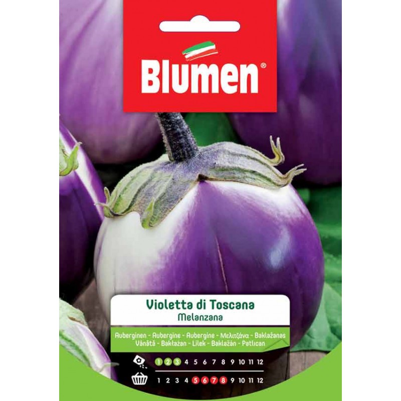 Graines d'Aubergine violette - Toscane - BLUMEN - Semences - DE-516691