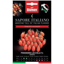 Graines de Tomate ovale - Lucciola - BLUMEN - Semences - DE-516923