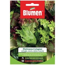 Graines de Salade - Assortiment - BLUMEN - Semences - DE-516873