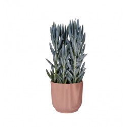 Pot rond - Vibes Fold - H. 16.8 cm - Rose poudré - ELHO - Pots ronds - DE-562885