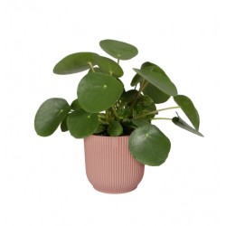 Pot rond - Vibes Fold - H. 16.8 cm - Rose poudré - ELHO - Pots ronds - DE-562885