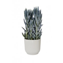 Pot rond - Vibes Fold - H. 16.8 cm - Blanc - ELHO - Pots ronds - DE-562901