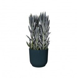 Pot rond - Vibes Fold - H. 16.8 cm - Bleu foncé - ELHO - Pots ronds - DE-562893