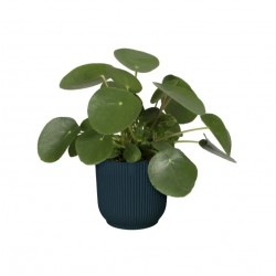 Pot rond - Vibes Fold - H. 16.8 cm - Bleu foncé - ELHO - Pots ronds - DE-562893