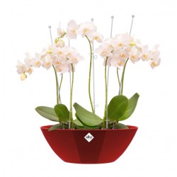 Pot ovale - Brussels Diamond - Rouge brillant - 36 cm - ELHO - Pots ronds - DE-402487