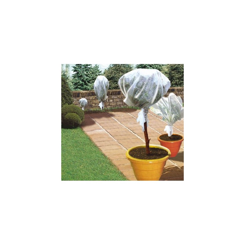 Voile d'hivernage - 5 x 2 m - CAP VERT - Protection des plantes - BR-016080