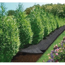 Feutre de jardin - 5 x 0.9 m - CAP VERT - Protection des plantes - BR-016111