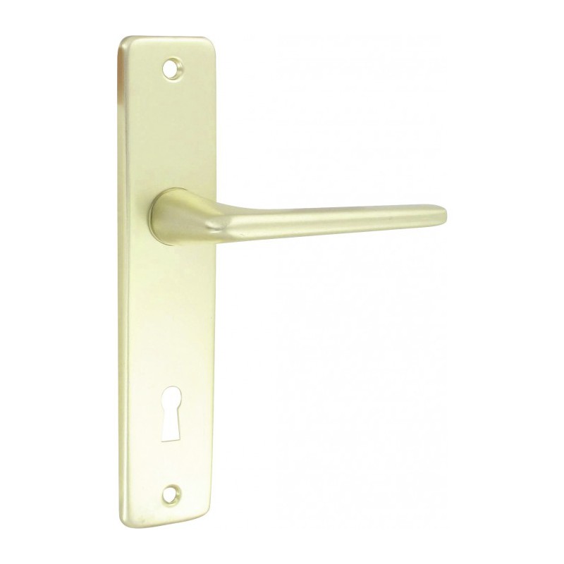 Poignée de porte - Gets aluminium - Champagne - cylindre165 - Poignée de porte / portail - BR-207120