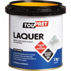 Enduit gras à  laquer en pâte - 1 Kg - TOUTPRET - Enduit de lissage - BR-616100