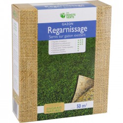 Gazon regarnissage - 50 mÂ² - 0.5 Kg - LES DOIGTS VERTS - Gazon et pelouse - BR-817434