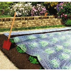 Film de forçage pour semis - 10 M - CAP VERT - Protection des plantes - BR-016020