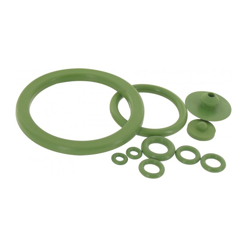 Joints Viton pour pulvérisateur C5 de Pulsen - CAP VERT - Pulvérisateurs - BR-566489