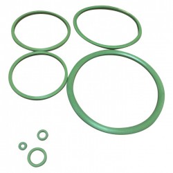 Joints Viton pour pulvérisateur C12 de Pulsen - CAP VERT - Pulvérisateurs - BR-566493